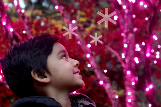 Walk-in (Staff Use Only)